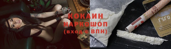 соль ск Алексин