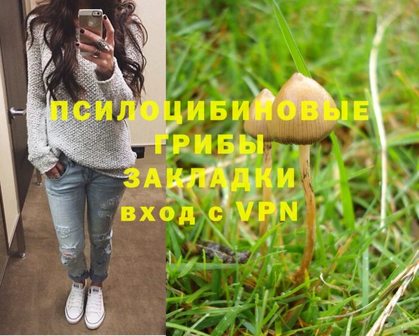 соль ск Алексин