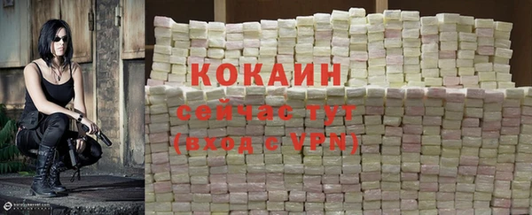 соль ск Алексин