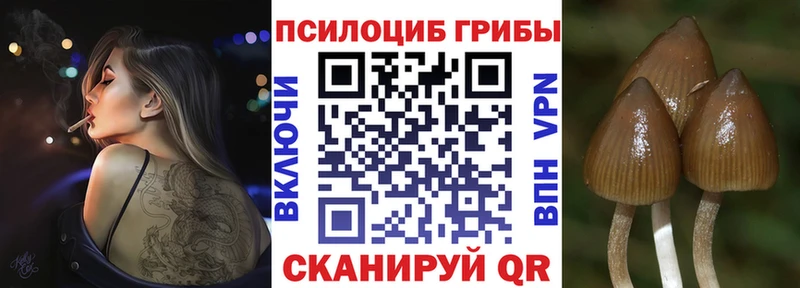 Галлюциногенные грибы мицелий  купить наркотик  Сочи 