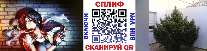 Бошки Шишки ГИДРОПОН  блэк спрут ТОР  Сочи 